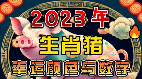 生肖豬幸運色|【豬 幸運色】屬豬2024年走大運！最旺幸運色、禁忌。